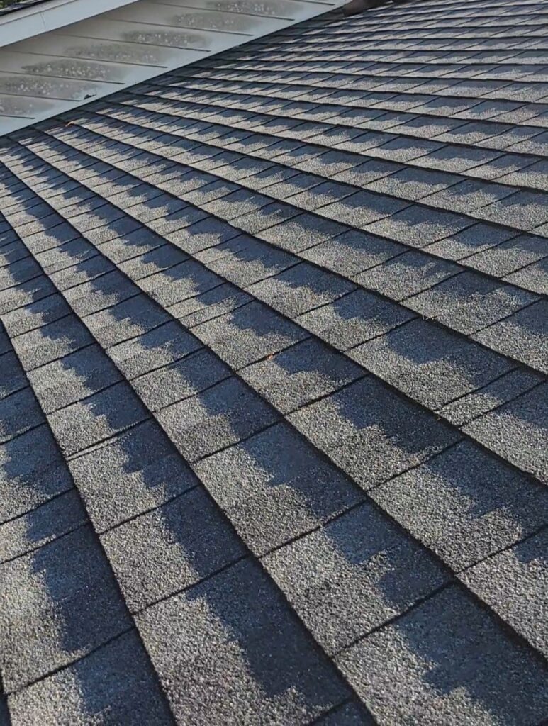 coastal roof moisture exposure Wilmington NC